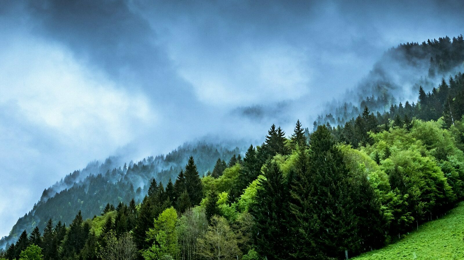 Le climat se réchauffe à un « rythme sans précédent »