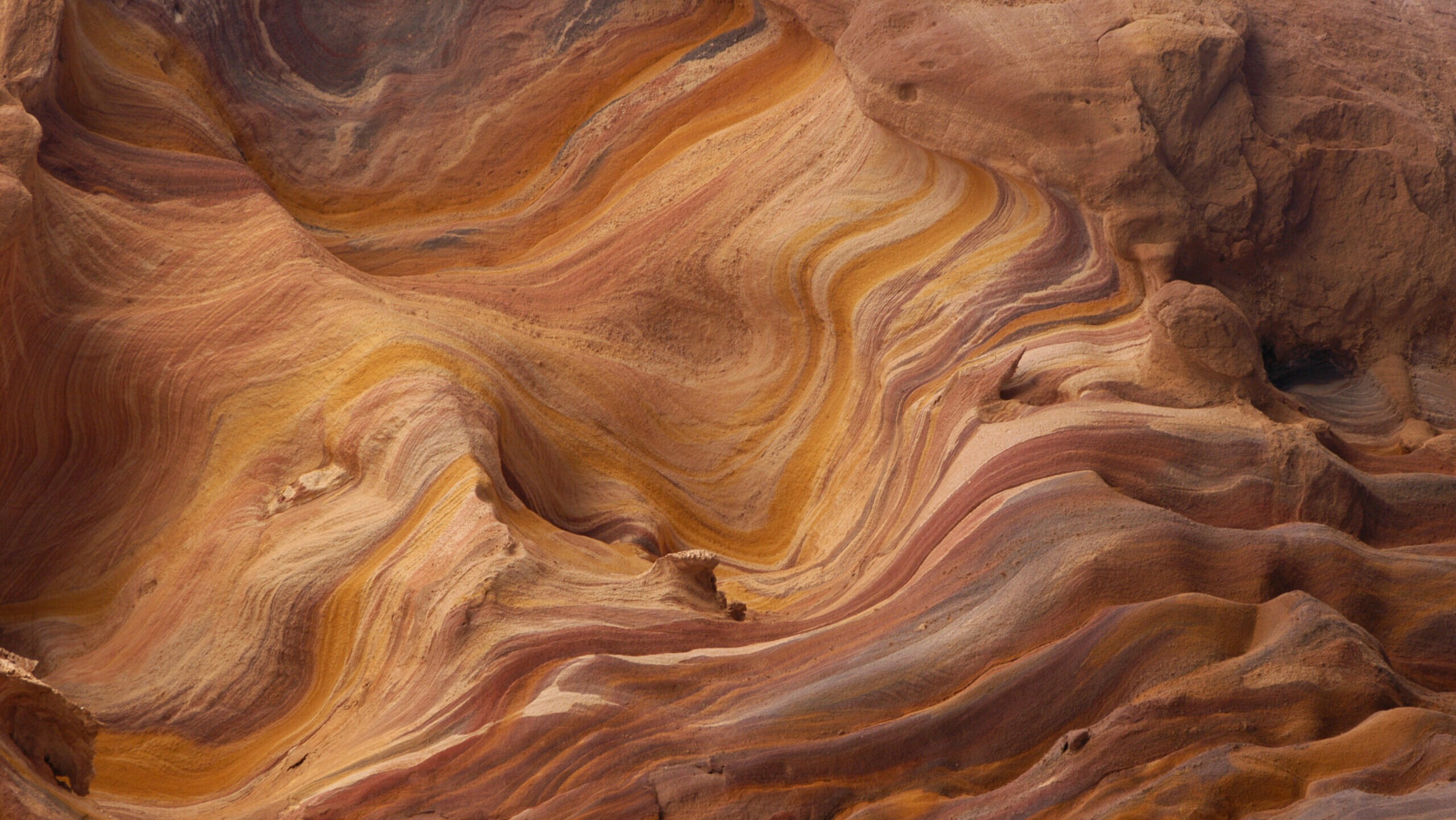 “Our objective: to offer a solution that really facilitates the work of geologists”