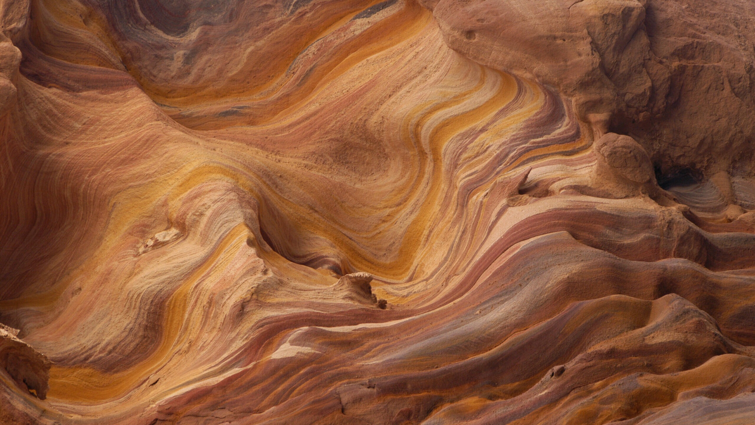 geological folds